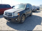 Ford Escape Xlt 1FMCU9DG0BKA95143 снимка