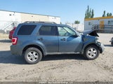 Ford Escape Xlt 1FMCU9DG9BKA24071 fotografie