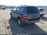 Ford Escape Xlt 1FMCU9DG9BKA24071 fotografie