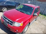 Ford Escape Xlt 1FMCU0D76AKD22555 fotografie