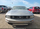 Ford Mustang V6 1ZVHT80N985104034 снимка