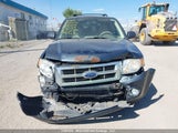 Ford Escape Xlt 1FMCU03108KA35719 снимка