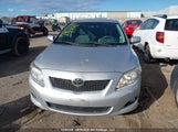 Toyota Corolla S/Le/Xle 2T1BU40E69C119917 photo