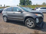 Honda Cr-V 5J6RE4H59AL810219 снимка