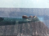 Toyota Corolla Ce/Le/Sport 2T1BR32E87C836034 photo