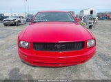 Ford Mustang V6 1ZVHT80N865171009 снимка