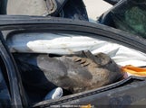 Volkswagen Jetta Gli 3VW4T7AJ0HM210340 снимка