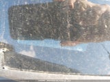 Honda Accord Se 1HGCP2F68BA804772 снимка