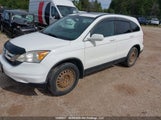 Honda Cr-V Ex 5J6RE4H54AL820236 снимка