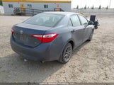 Toyota Corolla L/Le/Le Pls/Prm/S/S Pls 2T1BURHE7GC534565 fotografie