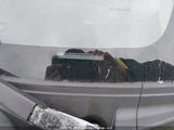 Toyota Yaris JTDBT4K38B1411559 снимка