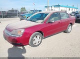 Chevrolet Malibu Ls 1G1ZT52805F104001 photo