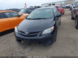 Toyota Corolla S/Le 2T1BU4EE6BC695778 снимка