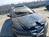Acura Tl 19UUA66297A801445 снимка