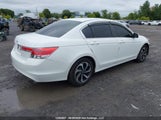 Honda Accord Ex-L 1HGCP2F89CA803150 снимка