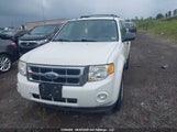Ford Escape Xlt 1FMCU9D79AKC56104 снимка