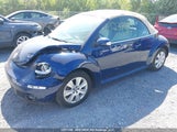 Volkswagen New Beetle 2.5L Trendline 3VWRF21Y28M408334 снимка
