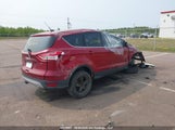 Ford Escape Se 1FMCU0G73FUB75778 fotografie
