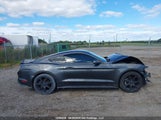 Ford Mustang 1FA6P8TH4K5196879 снимка