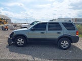 Ford Escape Xlt 1FMYU03176KC08137 снимка