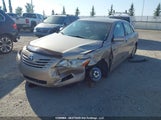 Toyota Camry Le V6/Se V6/Xle V6 4T1BK46K17U018329 photo