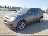 Chevrolet Equinox Ls 2CNFLCEW5A6307748 снимка