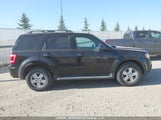 Ford Escape Xlt 1FMCU93G49KC00794 снимка