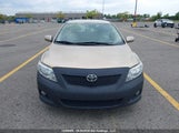 Toyota Corolla Le 2T1BU4EE7AC218789 снимка