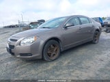 Chevrolet Malibu Ls 1G1ZB5E03AF287932 снимка