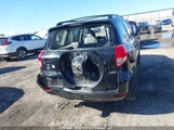 Toyota Rav4 JTMBD33V685186602 fotografie