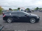 Nissan Maxima 1N4AA51E29C803676 снимка