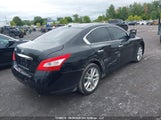 Nissan Maxima 1N4AA51E29C803676 снимка