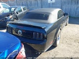 Ford Mustang Gt 1ZVHT85H055175976 снимка