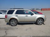 Ford Escape Xlt 1FMCU9DG1CKA79700 fotografie