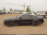 Ford Mustang Gt 1ZVFT82H255106332 снимка