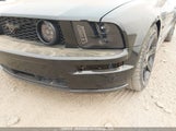 Ford Mustang Gt 1ZVFT82H255106332 снимка