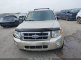 Ford Escape Xlt 1FMCU9DG9BKB68588 снимка