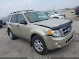 Ford Escape Xlt 1FMCU9DG9BKB68588 снимка