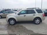 Ford Escape Xlt 1FMCU9DG9BKB68588 снимка
