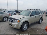 Ford Escape Xlt 1FMCU9DG9BKB68588 fotografie
