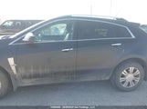 Cadillac Srx 3GYFNDEY3BS648259 снимка