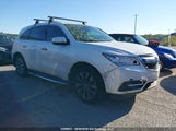 Acura Mdx Technology 5FRYD4H66GB506966 fotografie