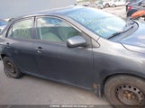 Toyota Corolla 2T1BU4EE4AC337321 photo