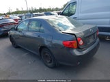 Toyota Corolla 2T1BU4EE4AC337321 fotografie