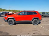 Jeep Cherokee Trailhawk 1C4PJMBX4MD111257 снимка
