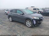 Honda Cr-V Exl 2HKRM4H73EH132216 снимка