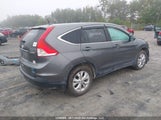 Honda Cr-V Exl 2HKRM4H73EH132216 снимка