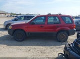 Ford Escape Xls 1FMYU02Z95KC26340 снимка