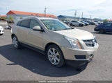 Cadillac Srx Luxury Collection 3GYFNDEY0BS662426 снимка