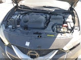 Nissan Maxima 1N4AA6APXHC436905 снимка